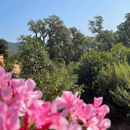 Serenita Vue Вилла